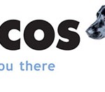 Lycos. Diplomarbeit SEO Strategien. Kapitel 2.2.1