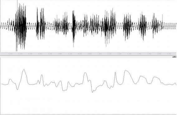 Intonation: Behauptung