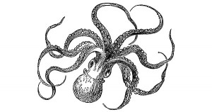 Google Octopus