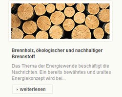 Webdesign und SEO für einen Brenn- und Kaminholz Großhändler