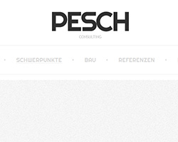 Pesch-Consult
