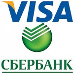 Der Kreditkartenriese VISA wählte die Sberbank zur sichersten Bank des Jahres 2012