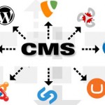 Auswahl des richtigen CMS. Hausarbeit CMS. Teil 1.1