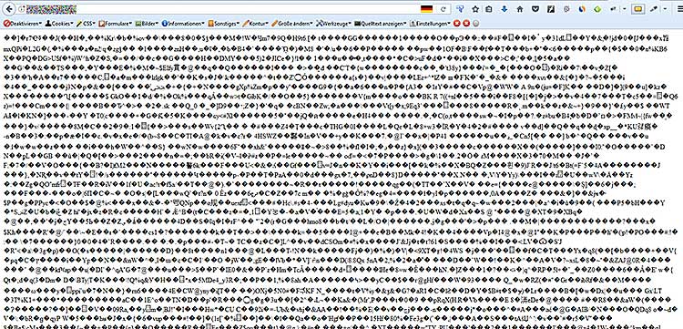 WordPress Seiten nur mit kryptischen Zeichen